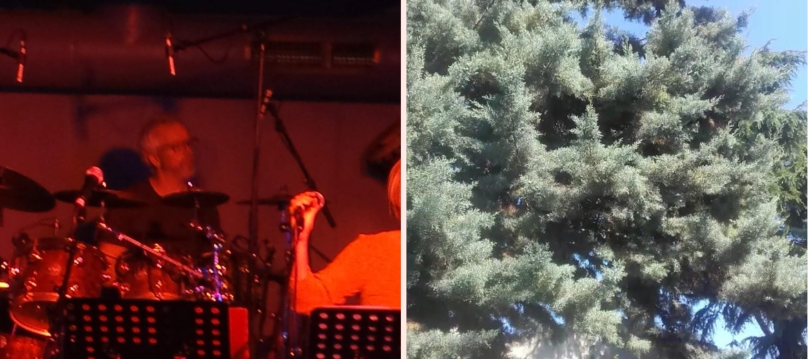 Muzik Jam Palace et Beyrouth club - Photo 1