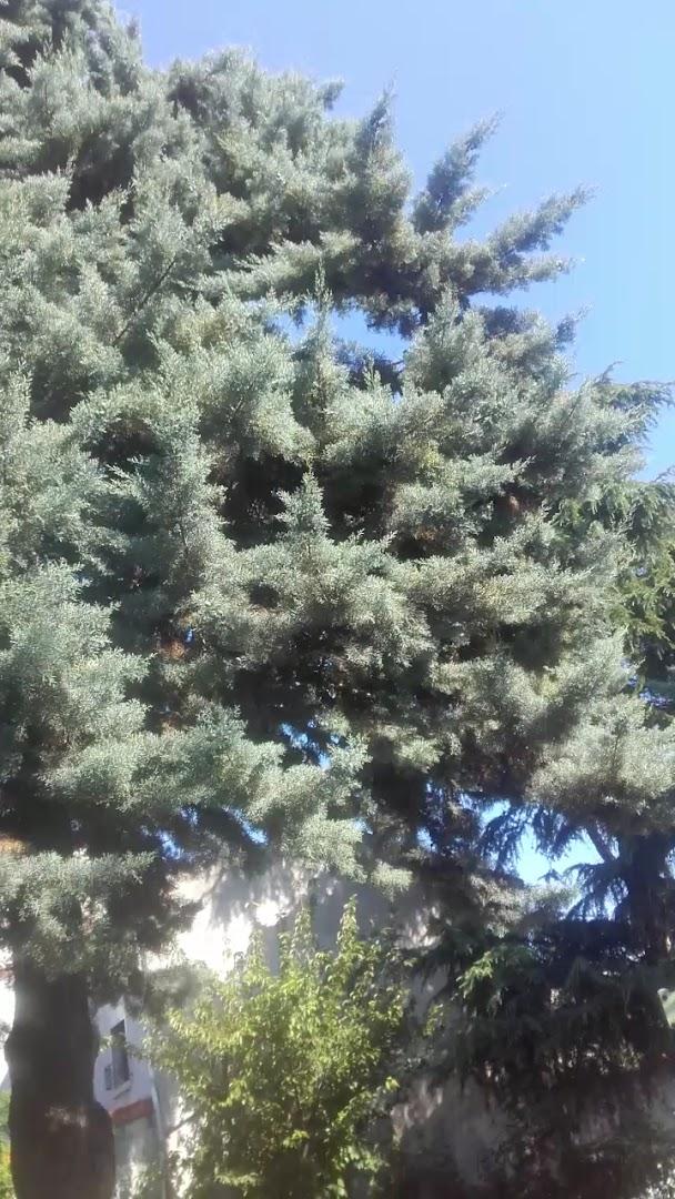 Muzik Jam Palace et Beyrouth club - Photo 3